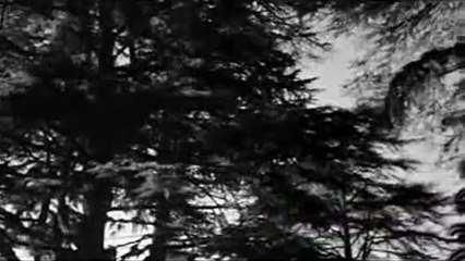 L'Eclipse Bande-annonce VO