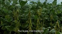 We Feed the World - le marché de la faim Extrait vidéo (5) VO