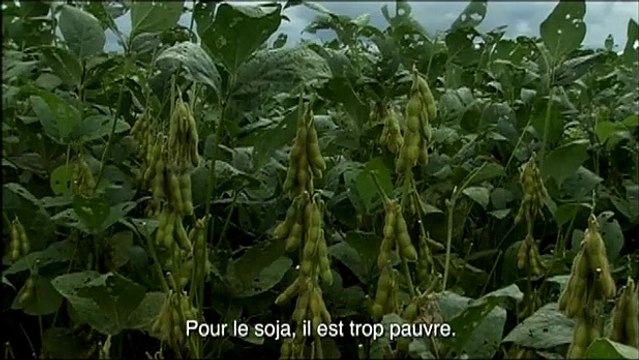 We Feed the World - le marché de la faim Extrait vidéo (5) VO