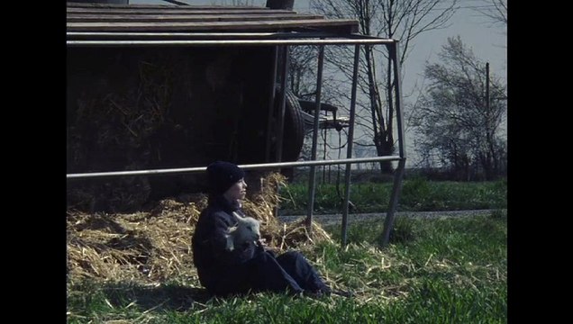 Mouton Bande-annonce VF