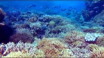 Voyage sous les mers 3D Extrait vidéo VF