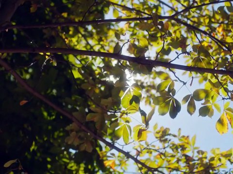 Ma nuit Bande-annonce VF