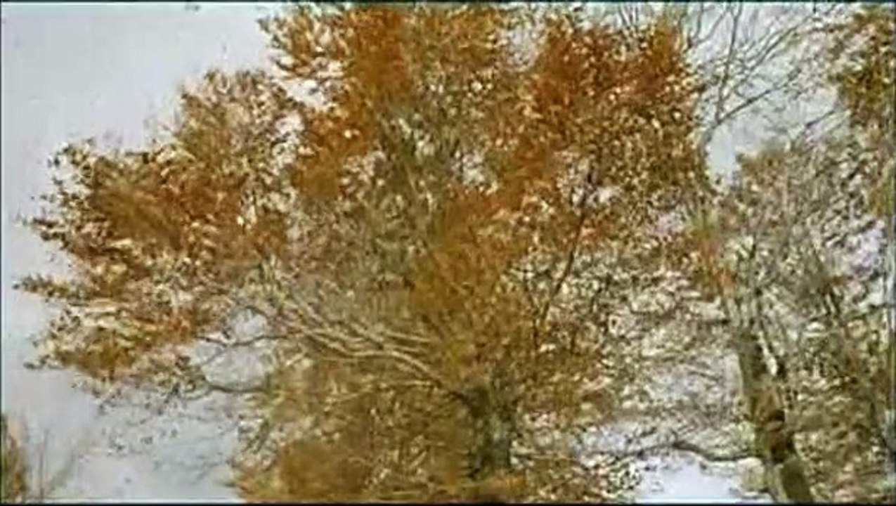 La Vie est un miracle Extrait vidéo (3) VO