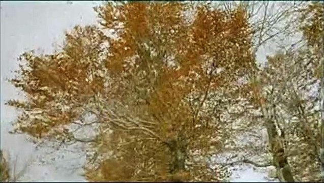 La Vie est un miracle Extrait vidéo (3) VO