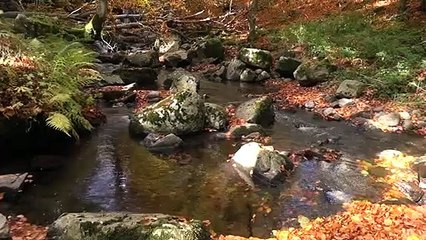 D'eau et de lumière Teaser VF