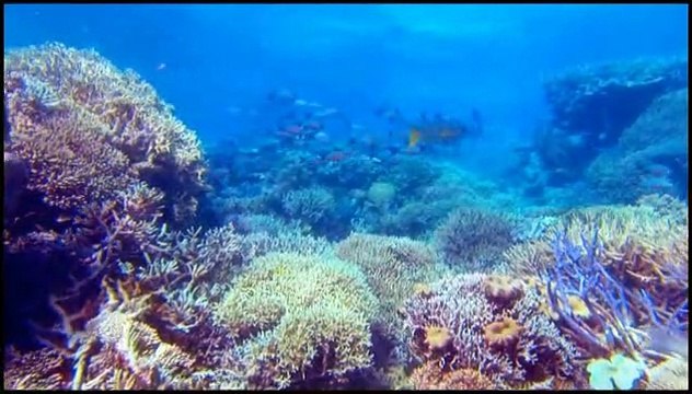 Voyage sous les mers 3D Making Of VF