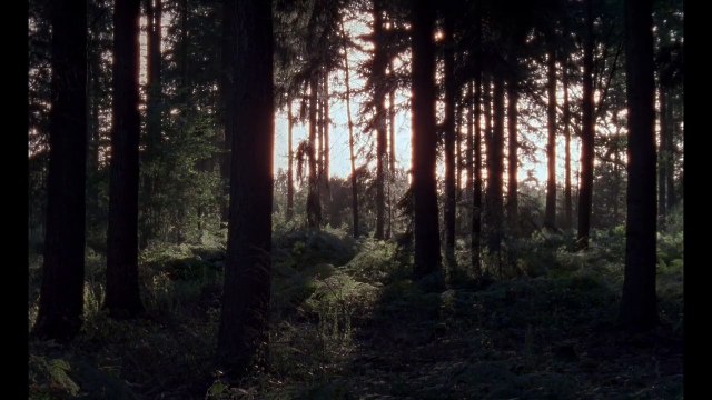 Trois contes de Borges Teaser VF