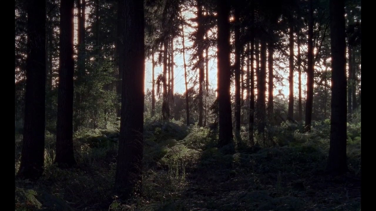 Trois contes de Borges Teaser VF