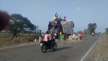 कांठल में गहराया भूसे का संकट