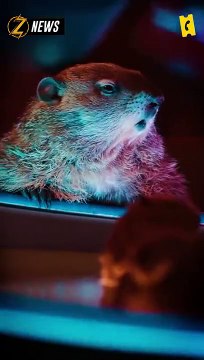 Black Widow, James Bond, Scarlet Witch, Top Gun, Les Minions... : les spots du Super Bowl 2020