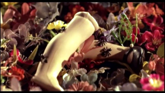 Bad Luck Film ou épisode complet VO