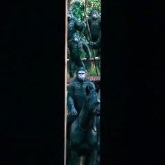 Teaser de la bande-annonce