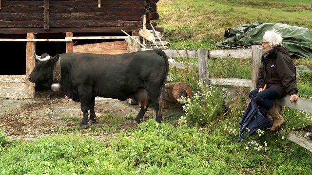 Vedette Bande-annonce VF