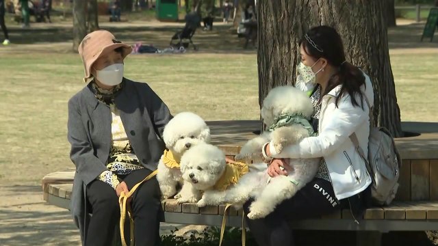 거리 두기 마지막 주말...일상회복 기대감 안고 나들이 / YTN