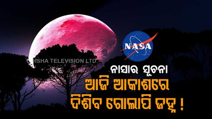 Will Pink Moon Light Up Weekend Sky, Here’s What Experts Say