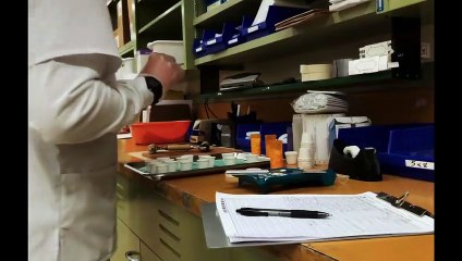 Paranoïa Bande-annonce VF