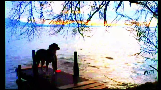 Adieu au Langage Bande-annonce VF