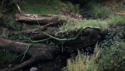 Penché dans le vent EXTRAIT VO "Barrages"