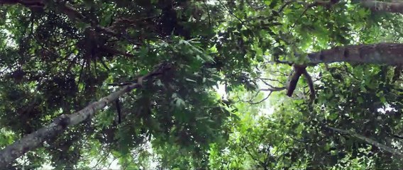 Les Naufragés Teaser "Lost" VF