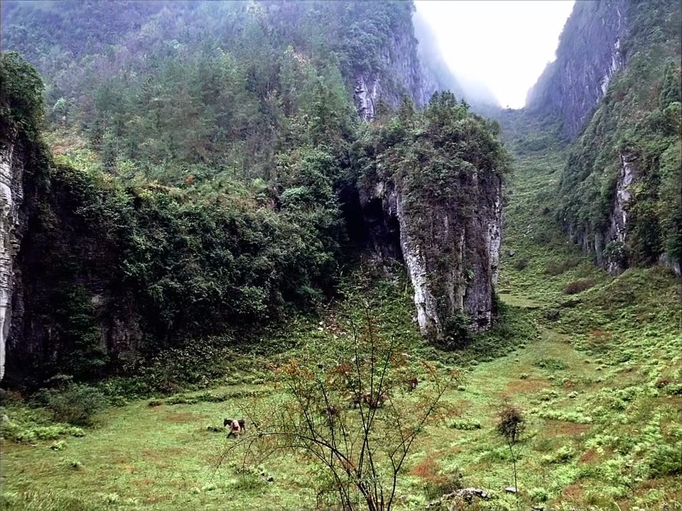 The Assassin Bande-annonce VO