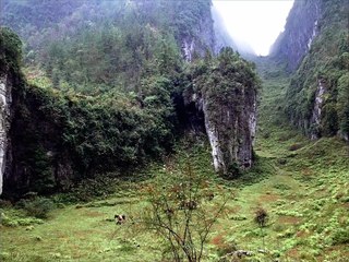 The Assassin Bande-annonce VO