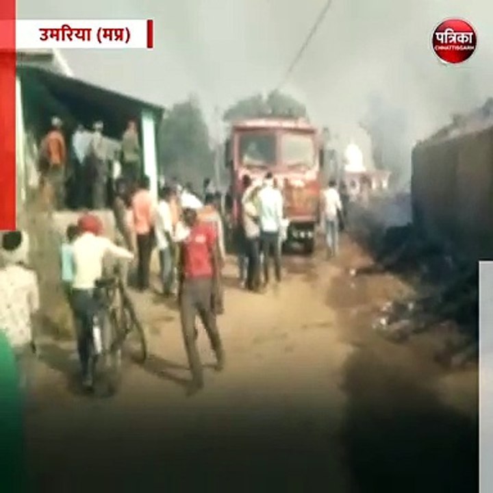 उमरिया (मप्र): फसल में लगी भीषण आग, चपेट में आए...