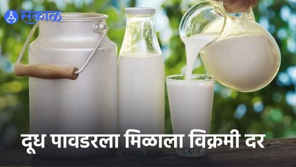 Milk Rate | दूध पावडरला मिळाला विक्रमी दर | Sakal |