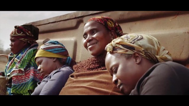 Le Train de sel et de sucre Bande-annonce VO