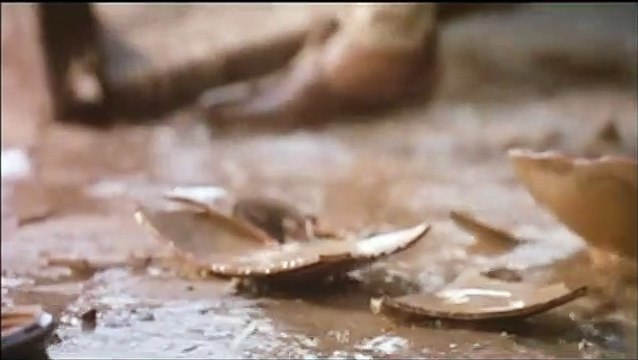 The Warrior Bande-annonce VO