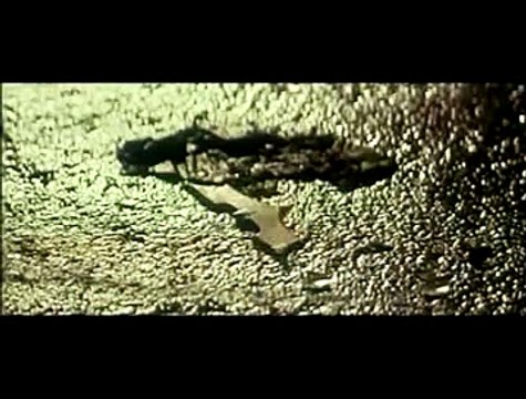 Batman Begins Extrait vidéo (3) VF