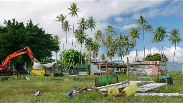 L'Oiseau De Paradis Bande-annonce VF