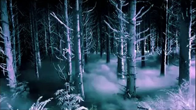 American Horror Story - saison 2 Teaser (20) VO