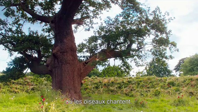 Le Jardin secret Bande-annonce VO