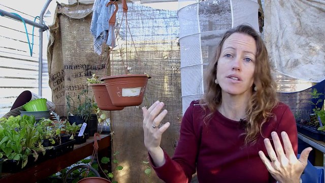 Happy, la Méditation à l'école EXTRAIT VF Prendre soin de l'enfant tout entier