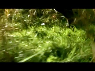 A ce soir. Bande-annonce VF