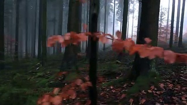 Le complexe de la salamandre Bande-annonce VF