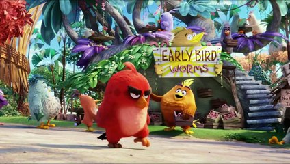 Скачать видео: Angry Birds Le Film – Bande annonce VF