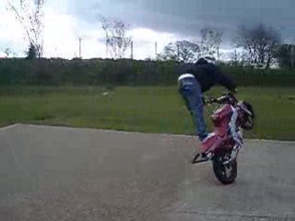 IMGP6524