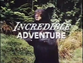 L'incroyable randonnée Bande-annonce VO