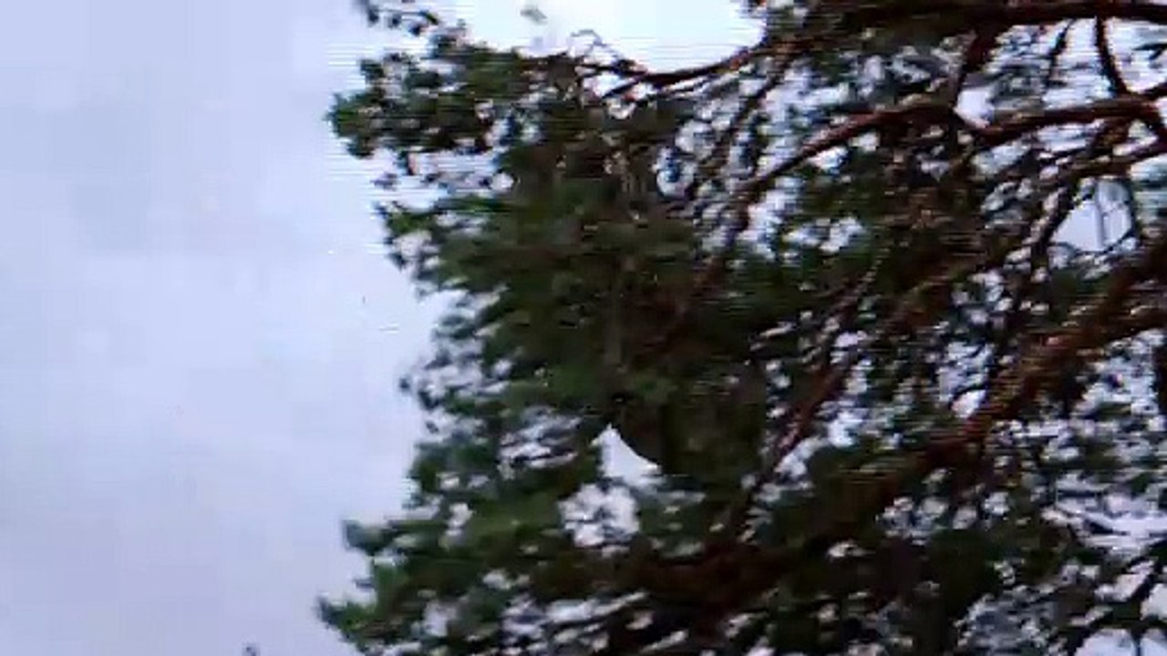 Headhunters Bande-annonce VO