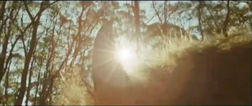 Max et les maximonstres Bande-annonce VO