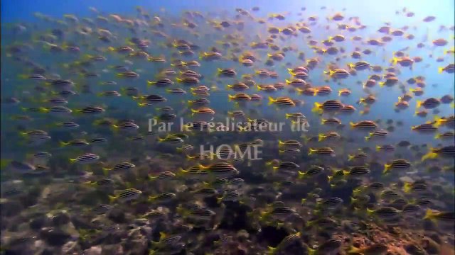 Planète océan Bande-annonce VF