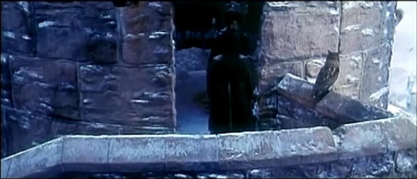 Harry Potter et la Coupe de Feu Extrait vidéo (7) VF