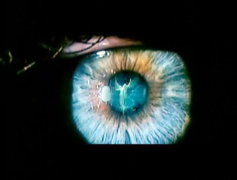 Si j'étais toi Teaser (5) VF