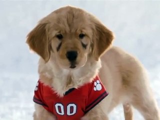 Les Copains des neiges Teaser VO