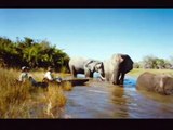 Opération Okavango 3D Extrait vidéo VO