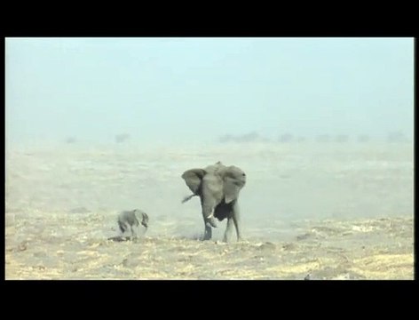 Un jour sur Terre Extrait vidéo (3) VF