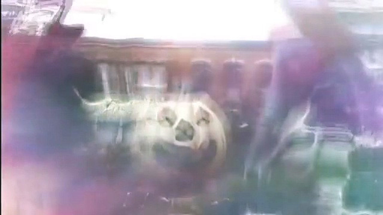 Les sorcières d'Halloween 4 Bande-annonce VF