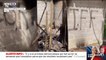 Corse: des résidences secondaires taguées et incendiées