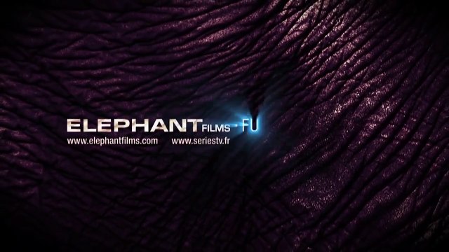 Le Corbeau Bande-annonce VO